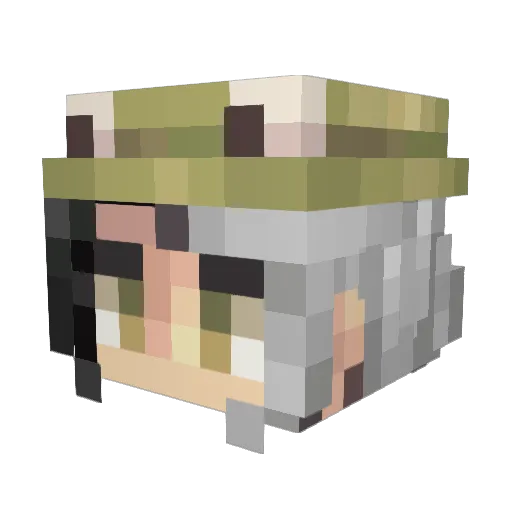 nelly456 Minecraft avatar head, 3D render