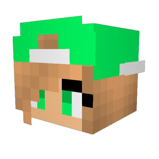 nellyroro Minecraft avatar head, 3D render