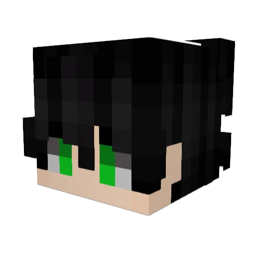 nelsiz Minecraft avatar head, 3D render