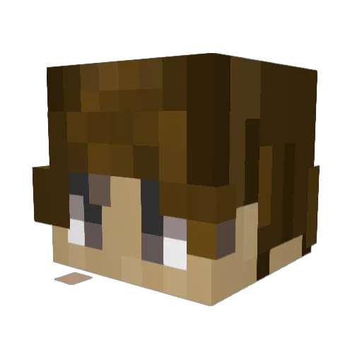 nelsontf Minecraft avatar head, 3D render