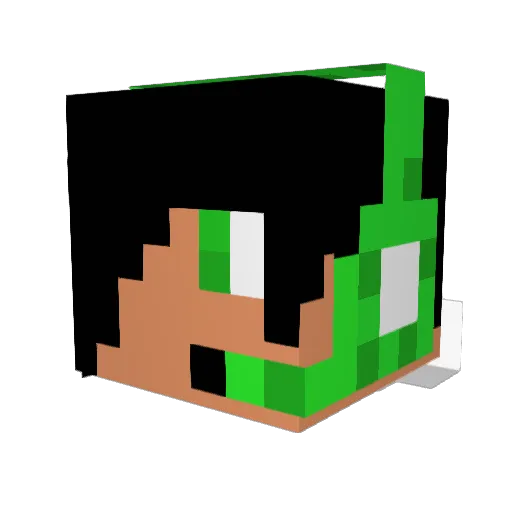 neltheking Minecraft avatar head, 3D render