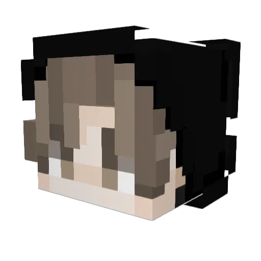 nelzw Minecraft avatar head, 3D render