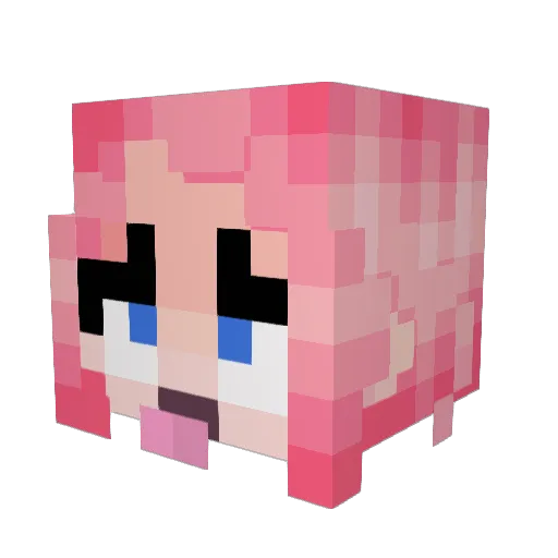 nema21 Minecraft avatar head, 3D render