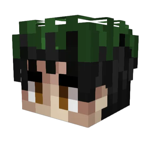 nemae1 Minecraft avatar head, 3D render