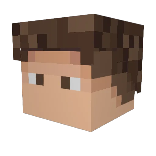 nemaxito Minecraft avatar head, 3D render