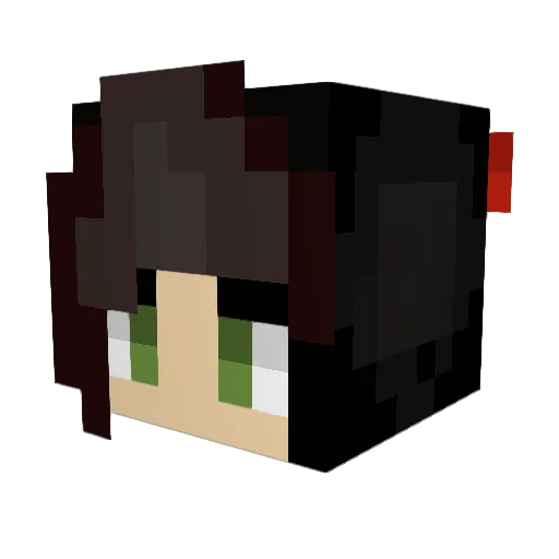 nemiCo6 Minecraft avatar head, 3D render