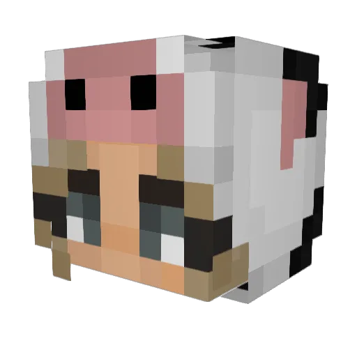 nemmeincke Minecraft avatar head, 3D render