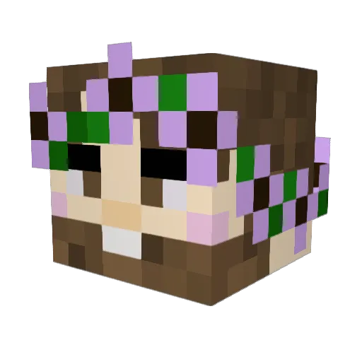 nemodus Minecraft avatar head, 3D render