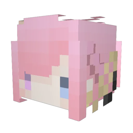 nemosocute Minecraft avatar head, 3D render
