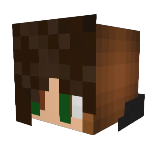 nemothepug Minecraft avatar head, 3D render