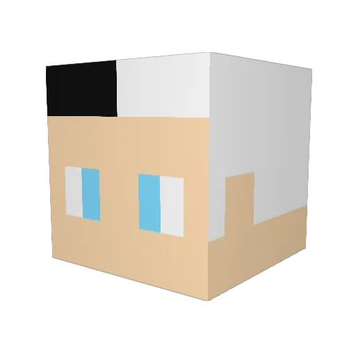 nenoname Minecraft avatar head, 3D render