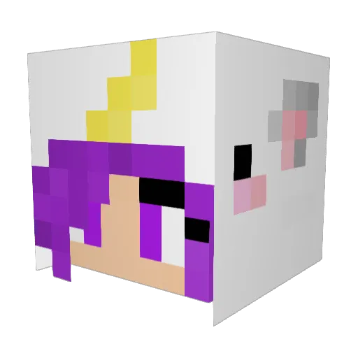 nenu9919 Minecraft avatar head, 3D render