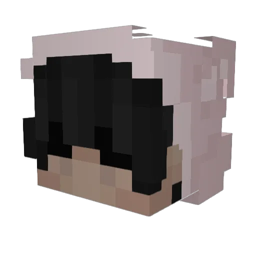 neo_01 Minecraft avatar head, 3D render