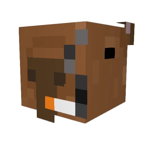 neofitg Minecraft avatar head, 3D render