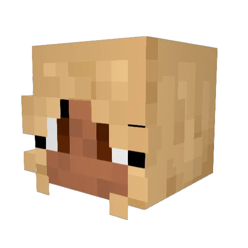 neonWyrms Minecraft avatar head, 3D render