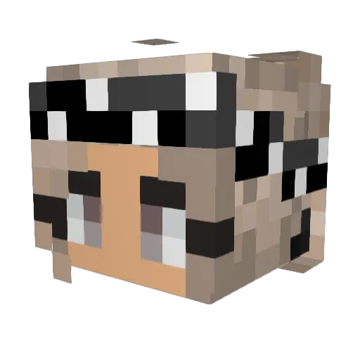 neonfishies Minecraft avatar head, 3D render
