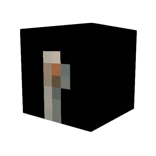 neongoldmagpie Minecraft avatar head, 3D render