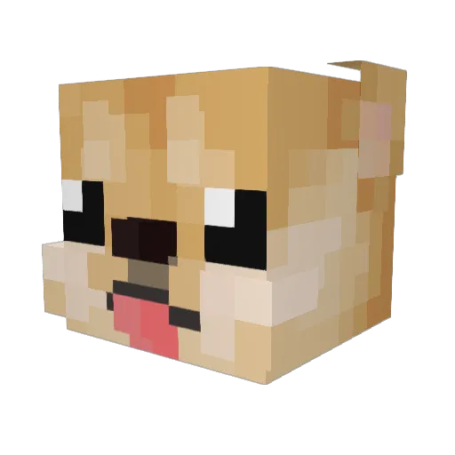 neony1243 Minecraft avatar head, 3D render