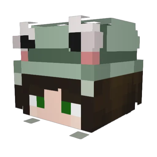 neophobic_ Minecraft avatar head, 3D render