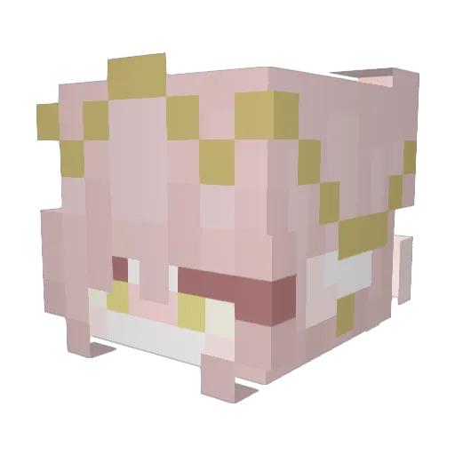 neorazen Minecraft avatar head, 3D render