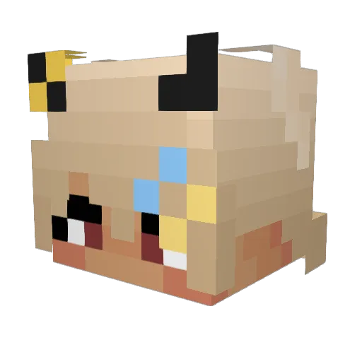 neostalls Minecraft avatar head, 3D render