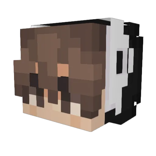 Minecraft-Avatar von neoxpl: Kopf als 3D-Render