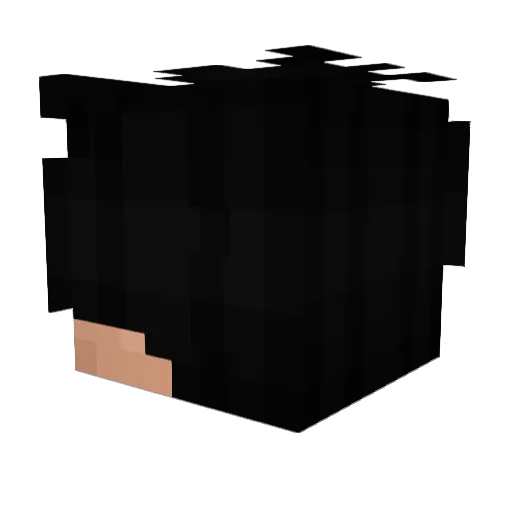 nepla05 Minecraft avatar head, 3D render