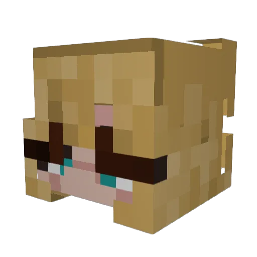 nepnewp Minecraft avatar head, 3D render