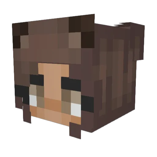 nepokitty Minecraft avatar head, 3D render