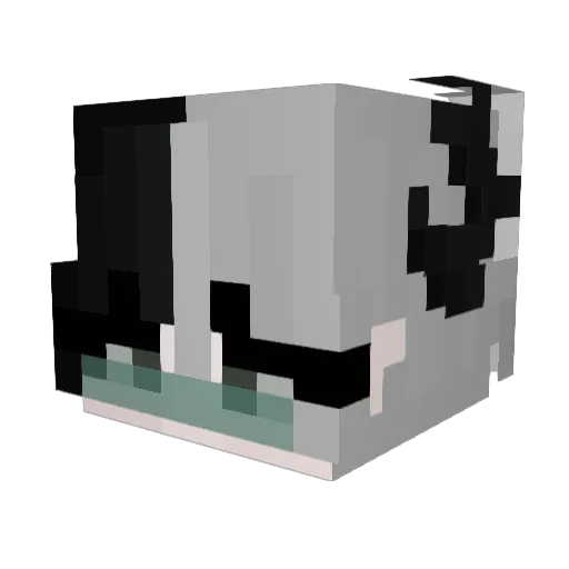 nept8ne Minecraft avatar head, 3D render