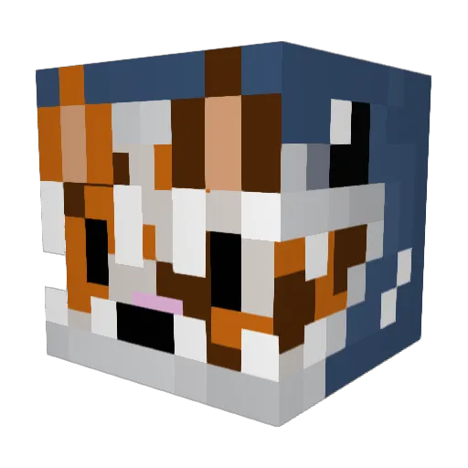 neptiwi Minecraft avatar head, 3D render