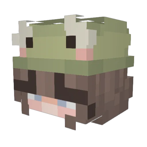 neptunebug Minecraft avatar head, 3D render