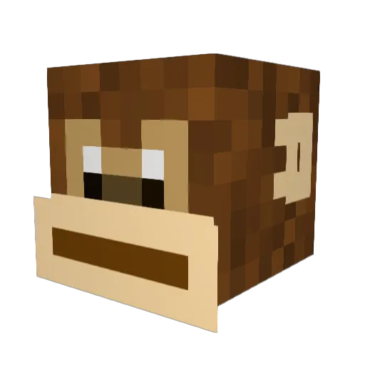 nerdboi72 Minecraft avatar head, 3D render