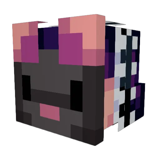 nerdiestguy Minecraft avatar head, 3D render