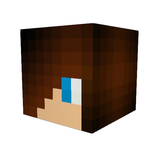 nerdlord_isyraf Minecraft avatar head, 3D render