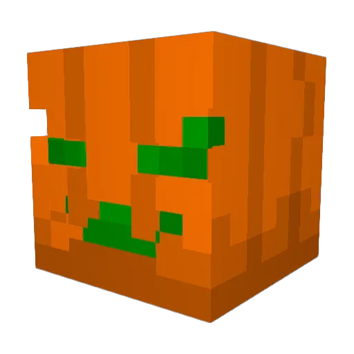 nerdylabrador Minecraft avatar head, 3D render