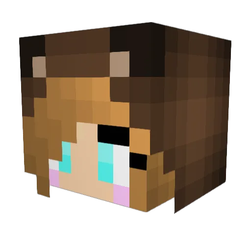 nerdyleigh Minecraft avatar head, 3D render