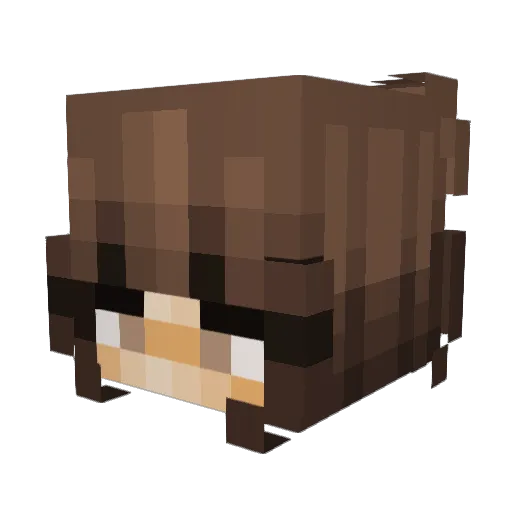 nerdyloserr1234 Minecraft avatar head, 3D render