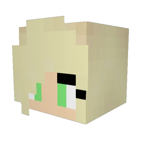 nerdypip11 Minecraft avatar head, 3D render