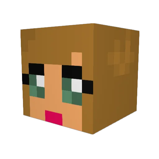 nerdyswag7878 Minecraft avatar head, 3D render