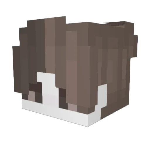 neregaet Minecraft avatar head, 3D render