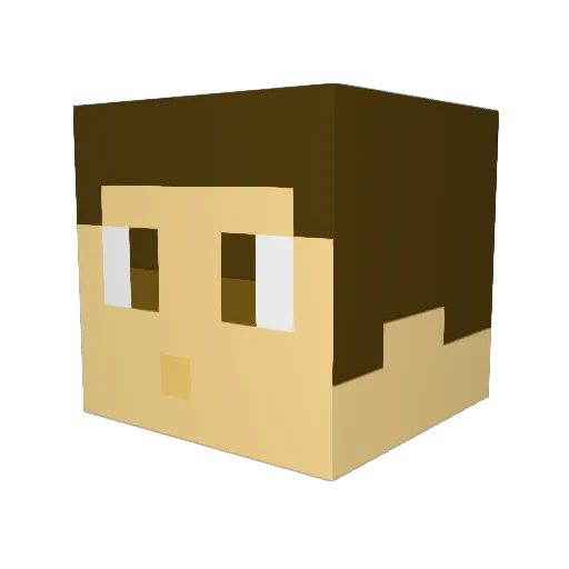 nerf1928ee Minecraft avatar head, 3D render