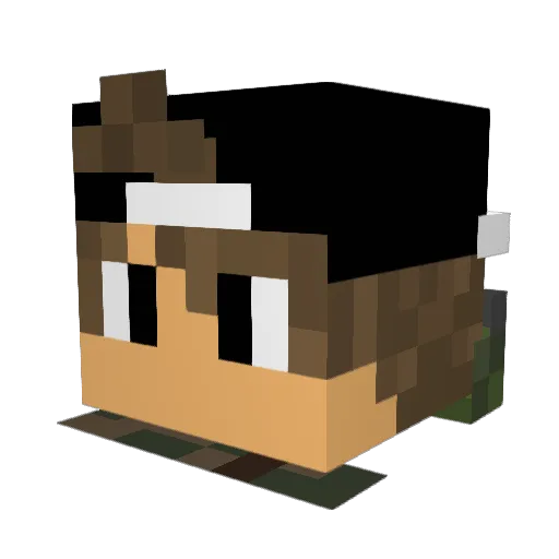 nerf_net Minecraft avatar head, 3D render