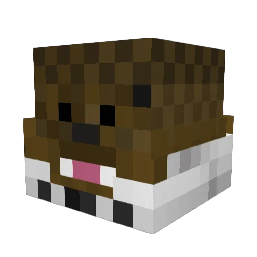nerfninja2 Minecraft avatar head, 3D render