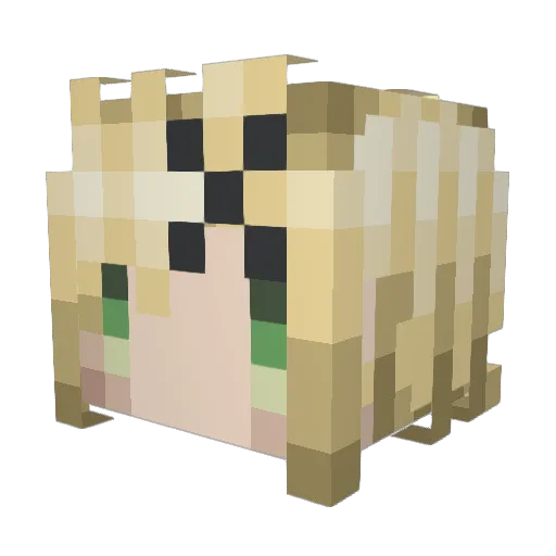 neri1123 Minecraft avatar head, 3D render