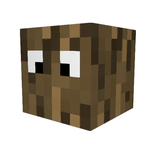 nerkvin Minecraft avatar head, 3D render