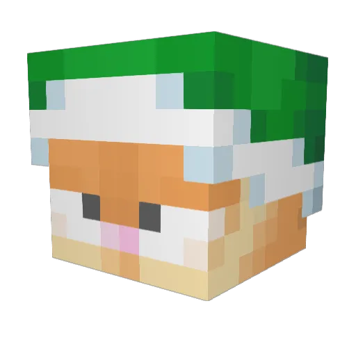 neroks_i_arbuz Minecraft avatar head, 3D render