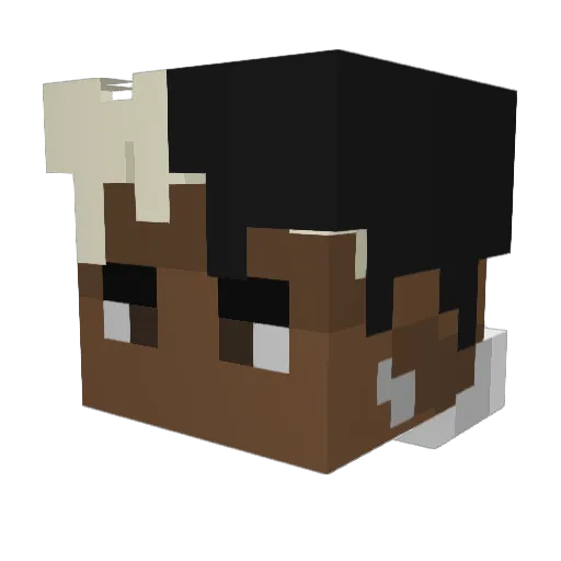 neropathic Minecraft avatar head, 3D render
