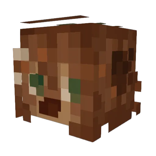 nerothesharkdog Minecraft avatar head, 3D render