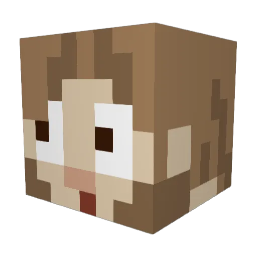 nerrvs0 Minecraft avatar head, 3D render